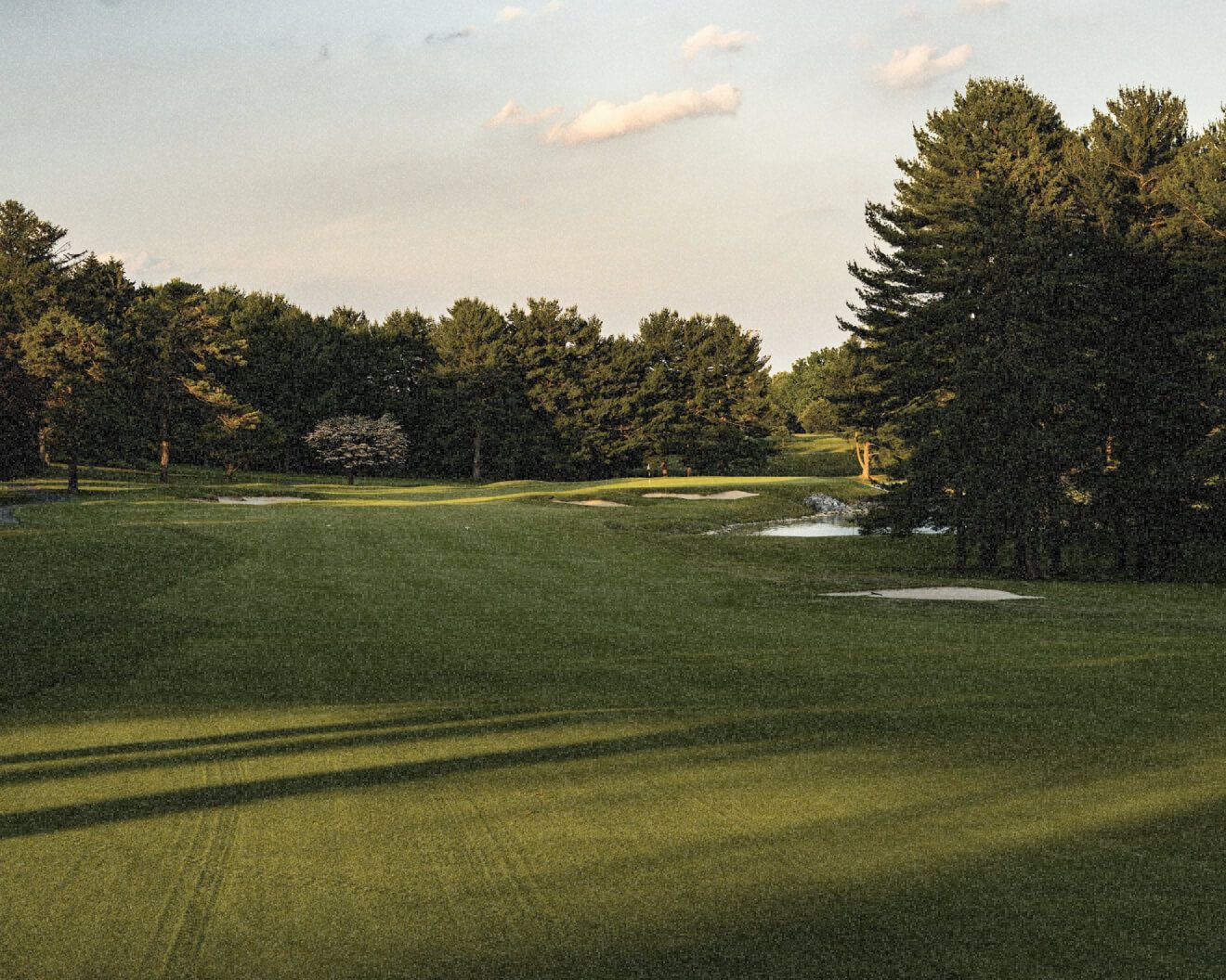 A golf course fairway in evening light